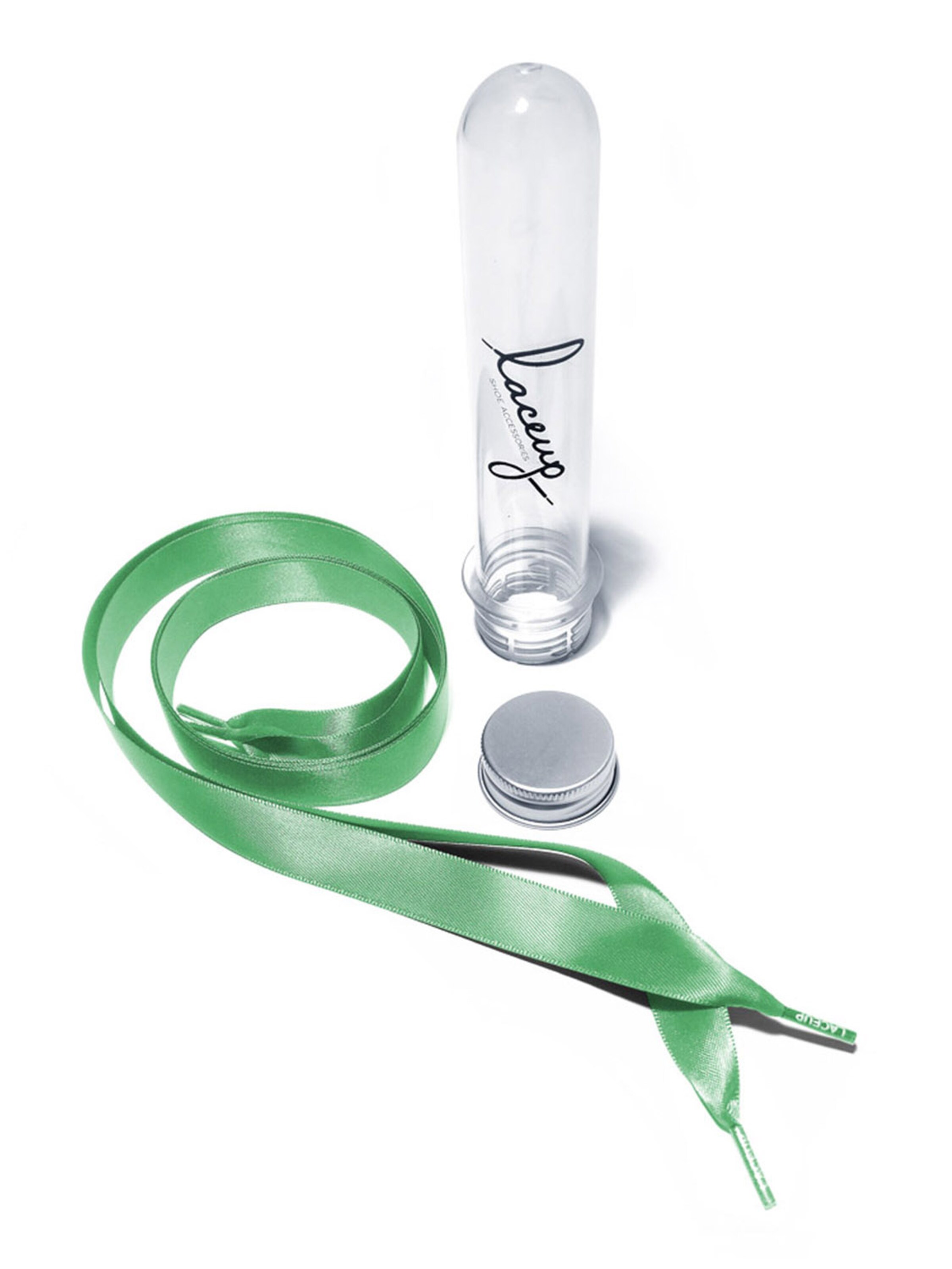 Laceup Shoe Accessories 'Mint 530' in Green