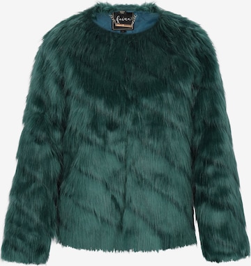 zaļš faina Starpsezonu jaka: no priekšpuses