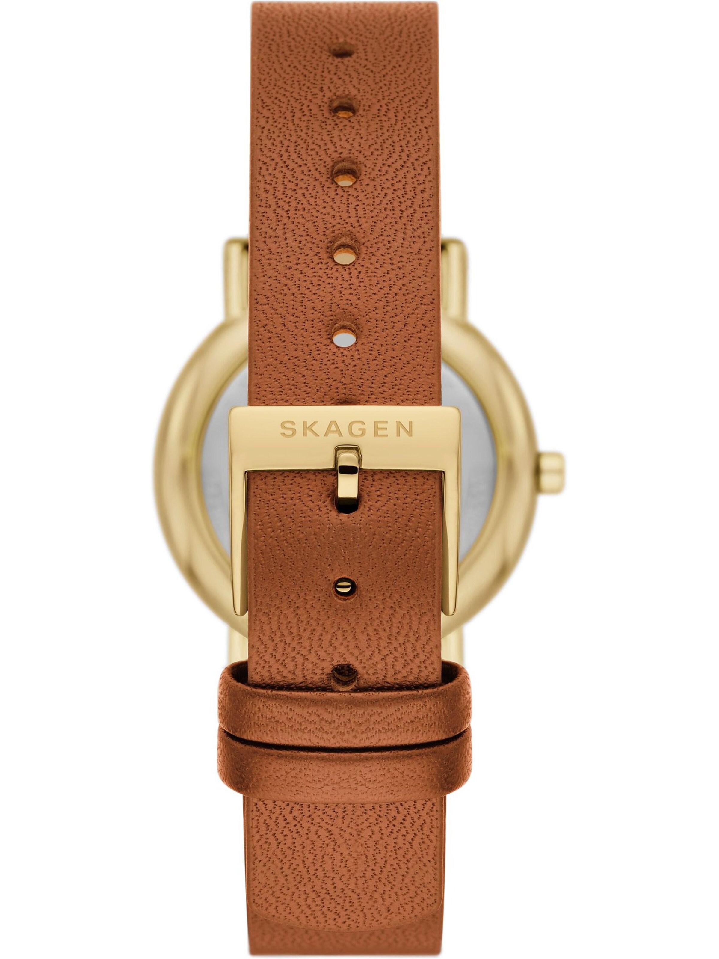 SKAGEN Analog Watch in Brown