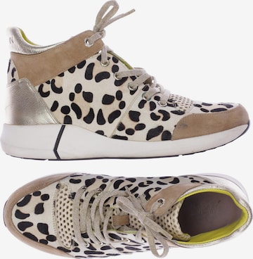 Marc Cain Sneakers & Trainers in 40 in Beige: front