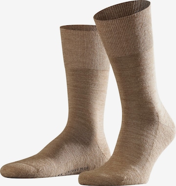 FALKE Socken in Beige: predná strana