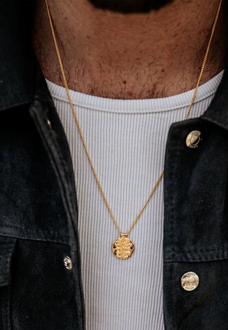 Haze&Glory Necklace 'Antidote' in Gold: front