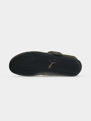 PUMA Sneaker 'Speedcat' in Grün