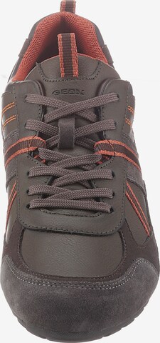 GEOX Sneaker in Braun