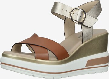 Nero Giardini Sandals in Brown: front