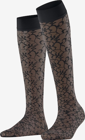 FALKE Over the Knee Socks 'Soft Spell' in Black: front