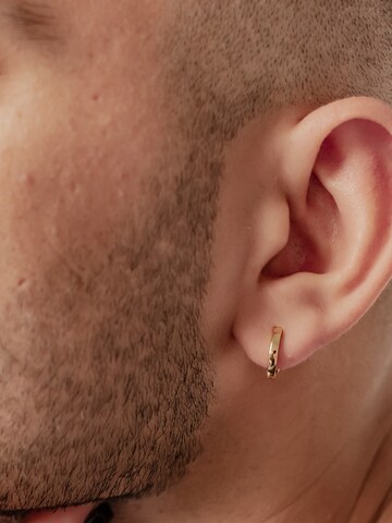 Hey Happiness Oorbel 'Small Band' in Goud