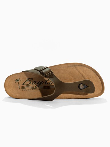 Bayton Žabky 'MERCURE' - Zelená