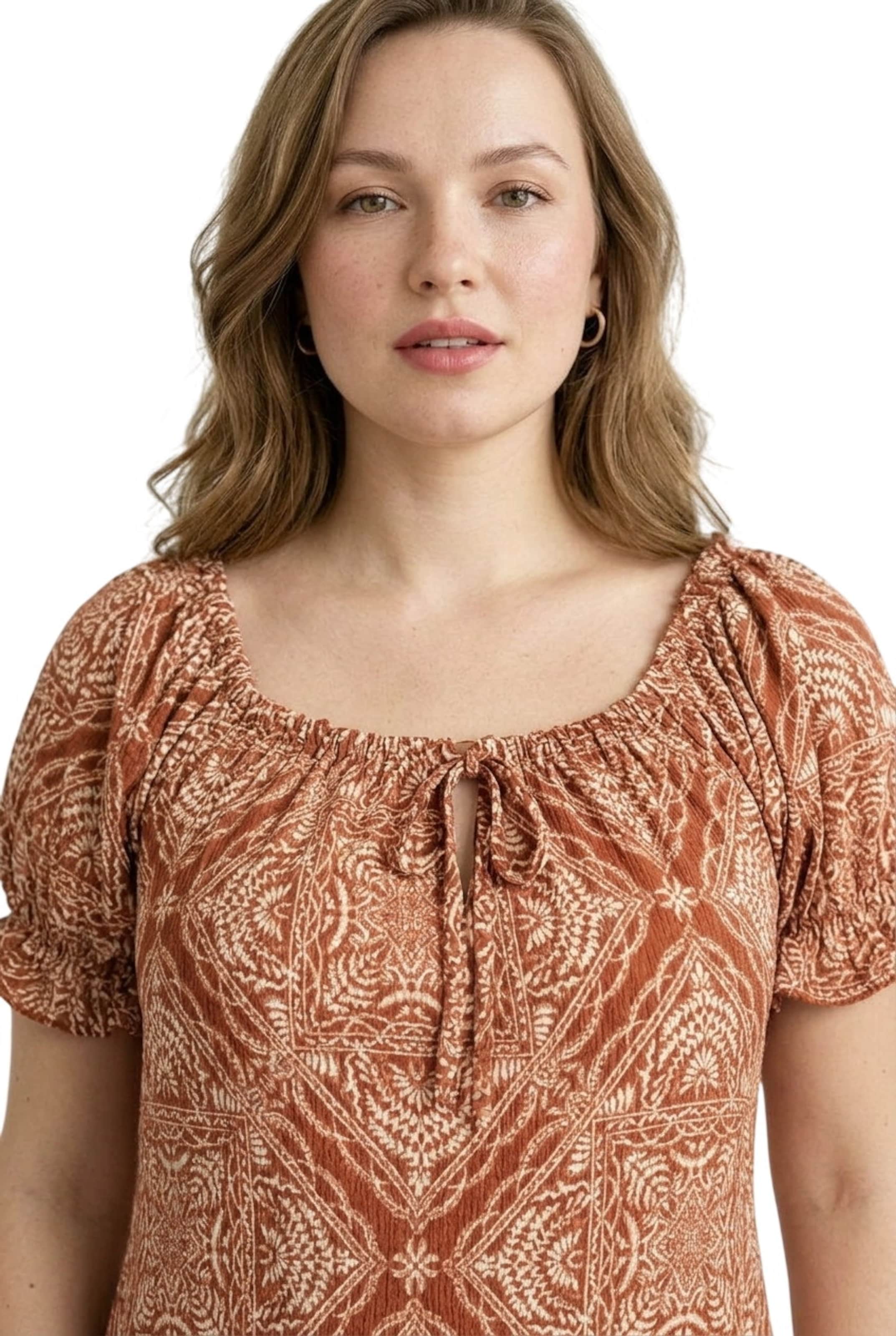 Stil Diva Dress in Brown