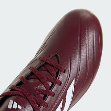 ADIDAS PERFORMANCE - Zapatillas de fútbol 'Copa Pure II Club' en rojo