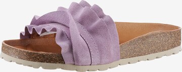 VERBENAS Mules in Purple: front