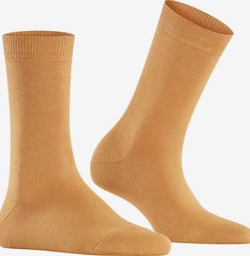 FALKE Socks 'Family' in Brown: front
