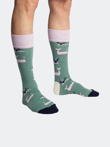 Chaussettes 'Water Enthusiasts' DillySocks en vert
