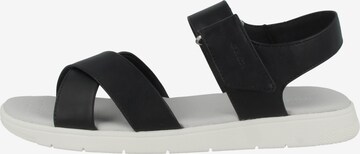 GEOX Sandalen met riem in Zwart