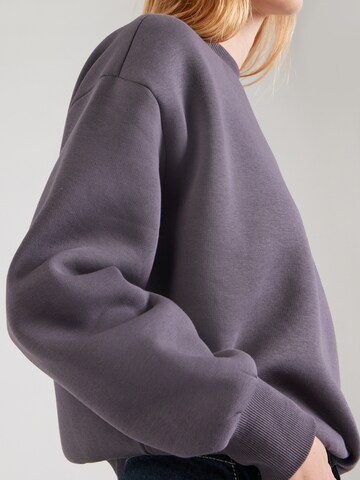 ABOUT YOU Sweatshirt 'Elsa' in Grijs