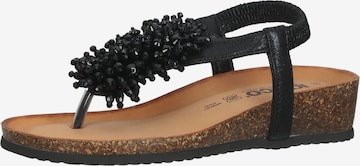 IGI&CO T-Bar Sandals in Black: front