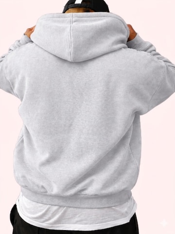 RMK Sweatshirt‌ in Grau