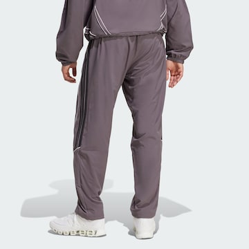 ADIDAS ORIGINALS Свободный крой Штаны 'Teamgeist Adicolor' в Серый