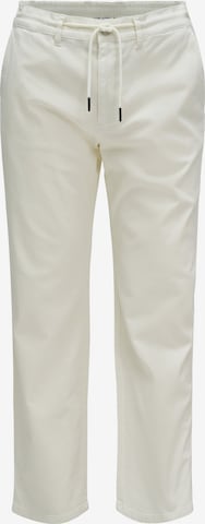 Salsa Jeans Regular Broek in Beige: voorkant