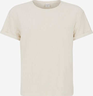PROTEST Shirt 'PRTTERRY' in White: front