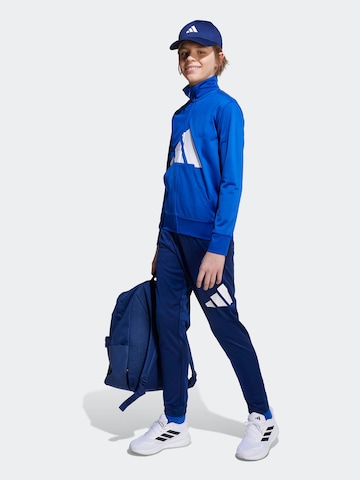 ADIDAS SPORTSWEAR Тренировочный костюм 'Essentials' в Синий