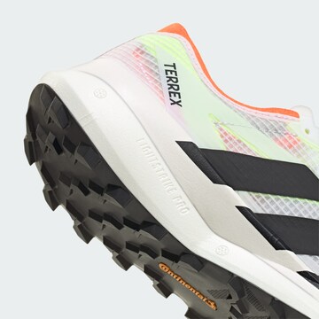 ADIDAS TERREX Running shoe 'Agravic Speed 2' in White