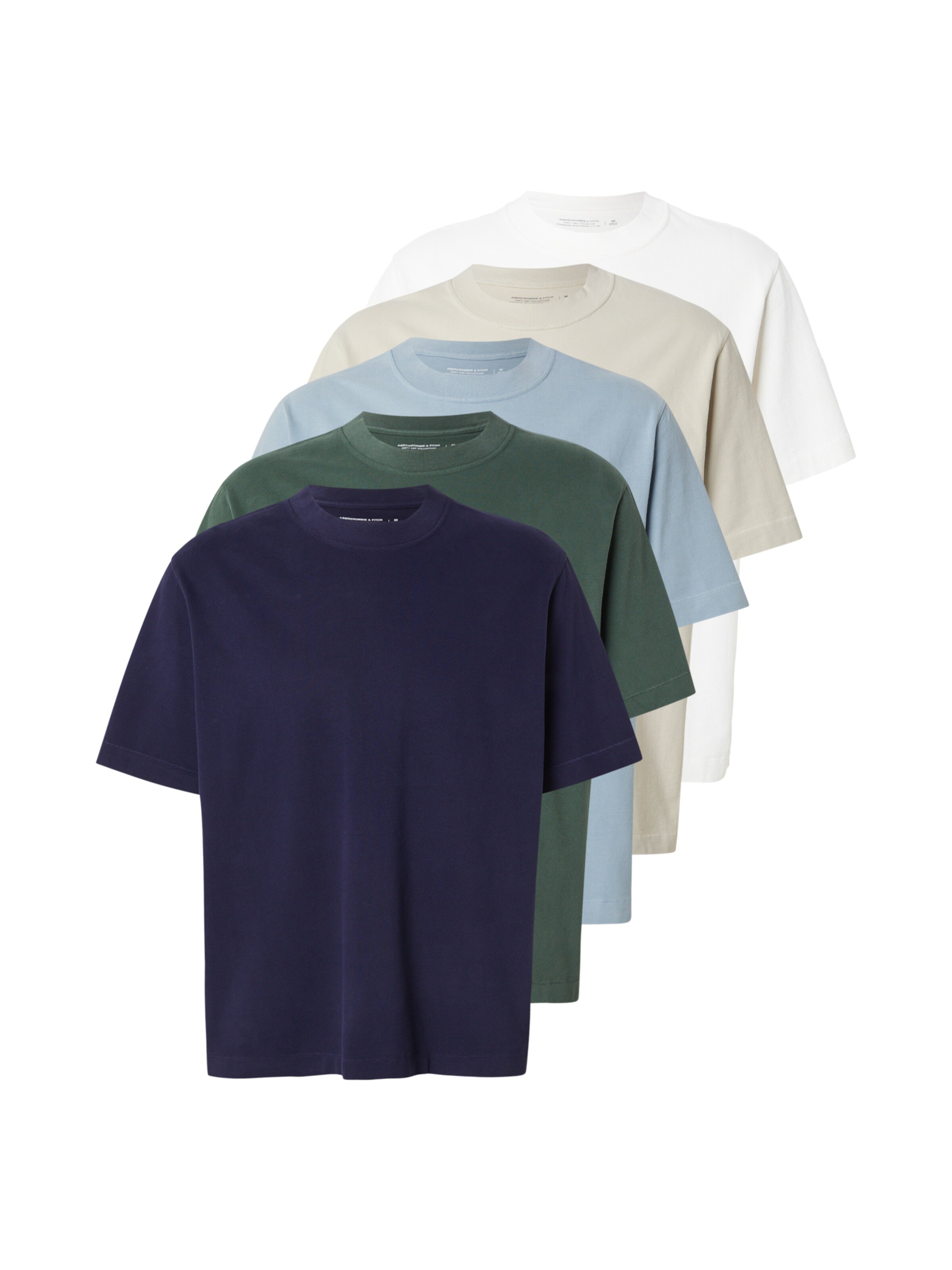 Abercrombie & Fitch Shirt in Blue: front