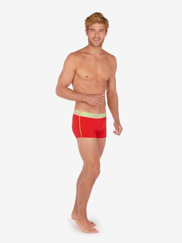 HOM Boxer shorts 'Trunk ' in Red: front