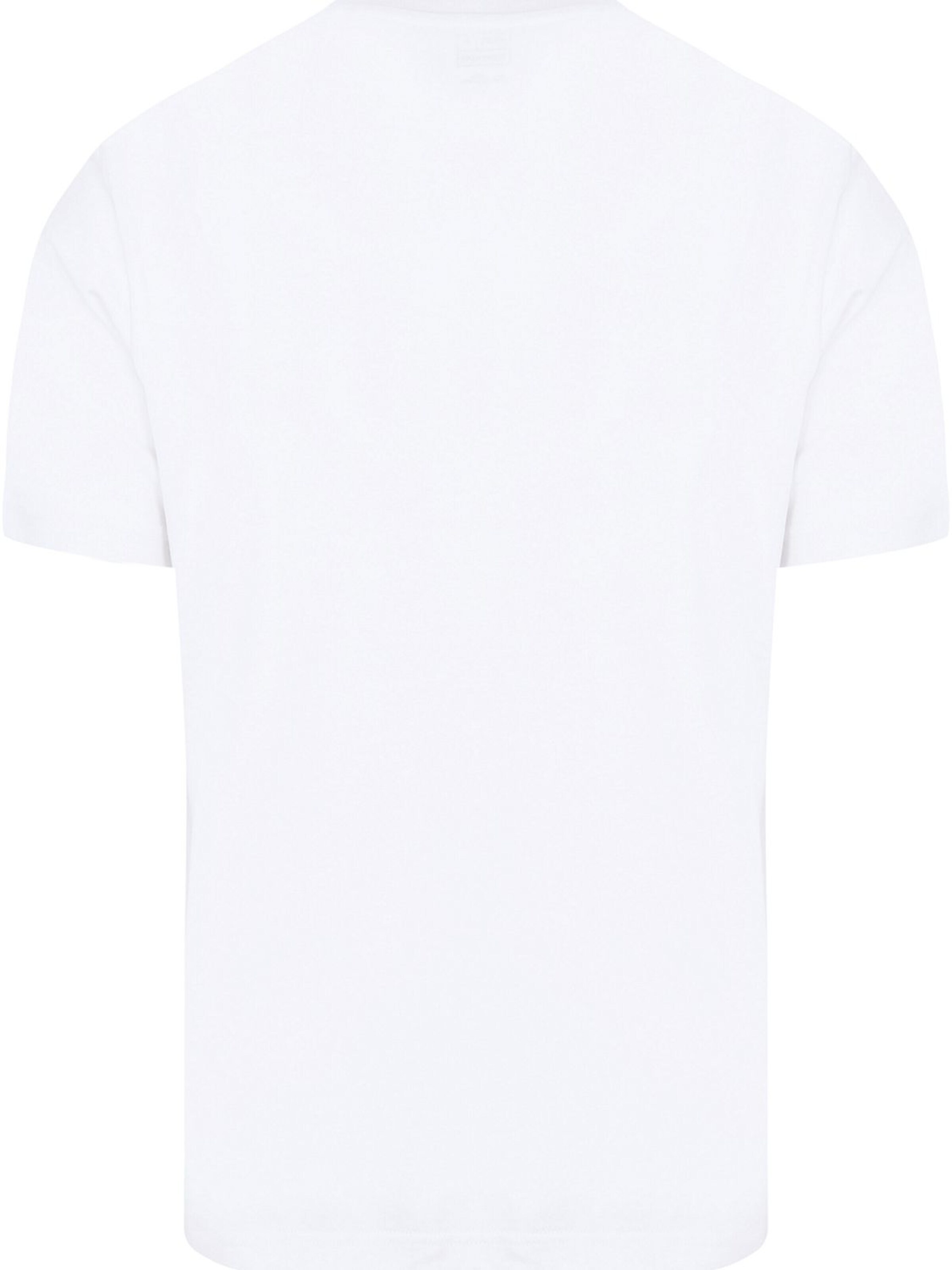 KING Essentials Shirt 'The Steve' in Wit