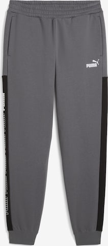 Regular Pantalon 'Around The Block' PUMA en gris : devant