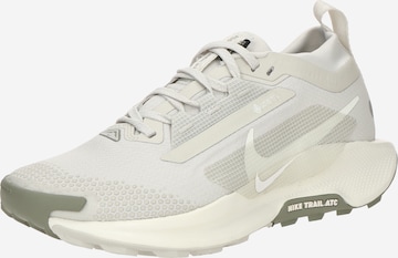 NIKE Низкие кроссовки 'PEGASUS TRAIL 5 GTX' в Серый: спереди
