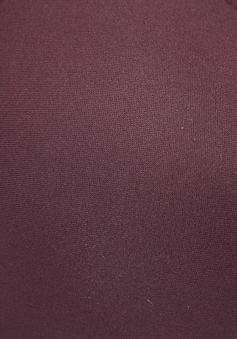 LASCANA Τρίγωνο Τοπ μπικίνι σε λιλά