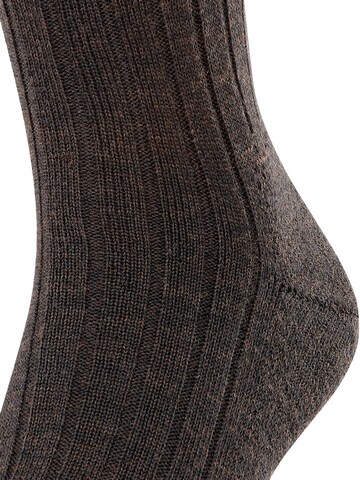 FALKE Socken 'Teppich im Schuh'‌‌‌‌‌ in Braun