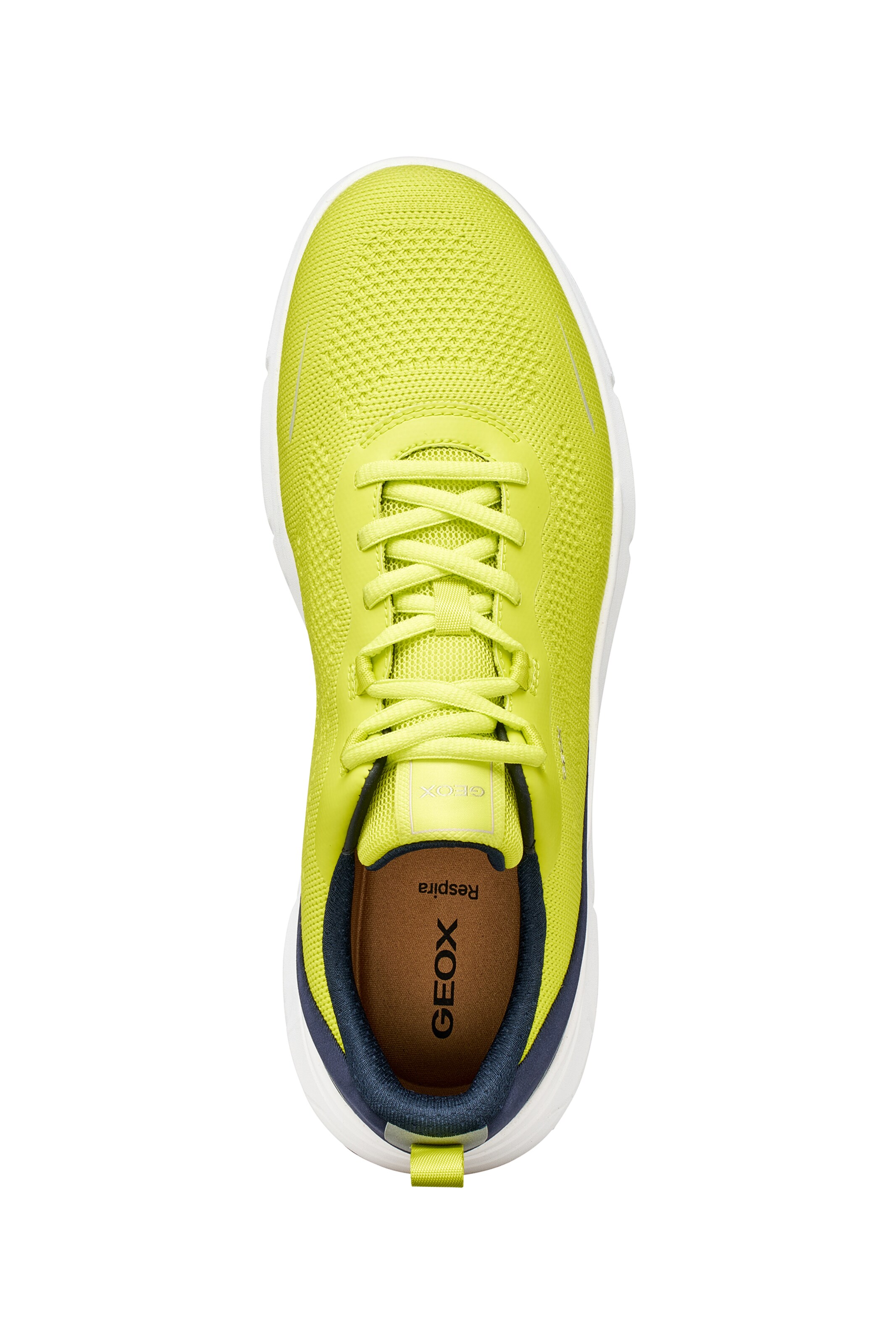 GEOX Sneakers in Green
