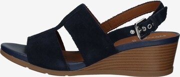 GEOX Sandals in Blue