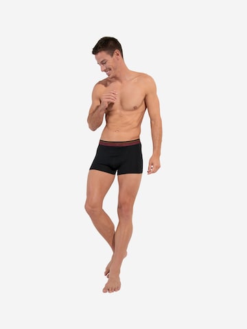 Boxers ' Tiago HO1 ' HOM en bleu