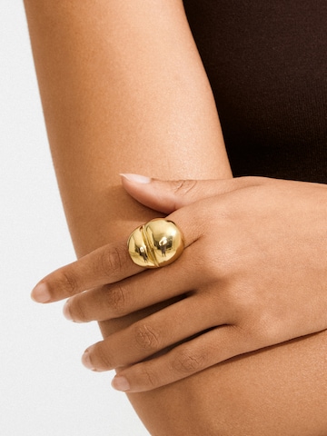 Pilgrim Ring 'MADDIX' i guld