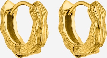PURELEI Øreringe i guld: forside