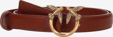 PINKO Gürtel 'LOVE BERRY' in Braun: Vorderseite