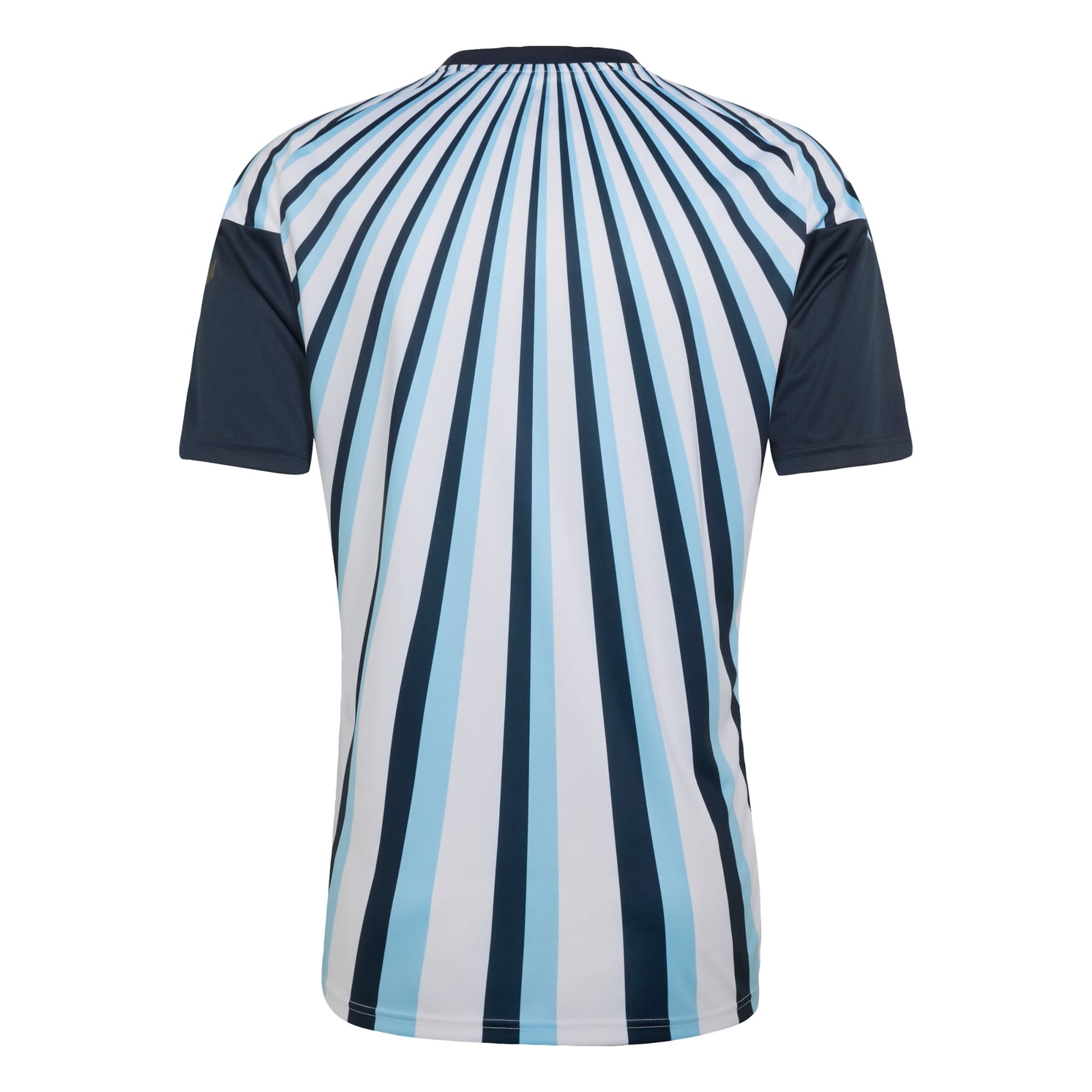 ADIDAS PERFORMANCE Tricot 'Argentinien 26 Pre-Match' in Wit