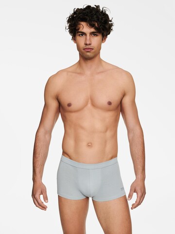 Henderson Boxershorts 'State' in Grijs