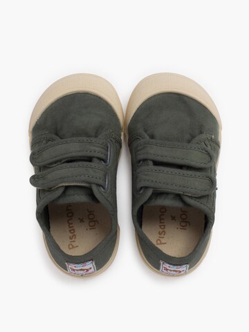 Pisamonas Sneakers in Green