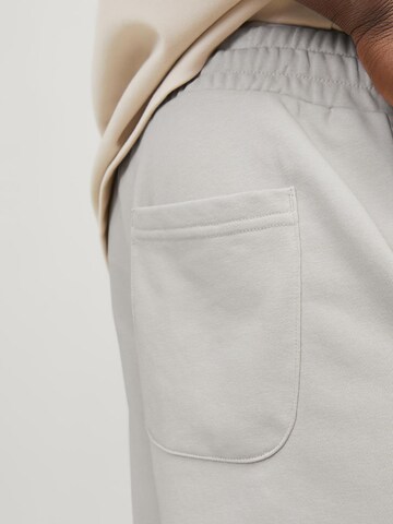 regular Pantaloni 'KANE VESTERBRO' di JACK & JONES in beige