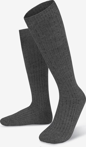 Polar Husky Knee High Socks in Grey: front