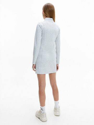 Calvin Klein Jeans Kleid in Grau