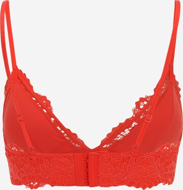 ETAM Triangle Bra 'SUCCESS' in Orange