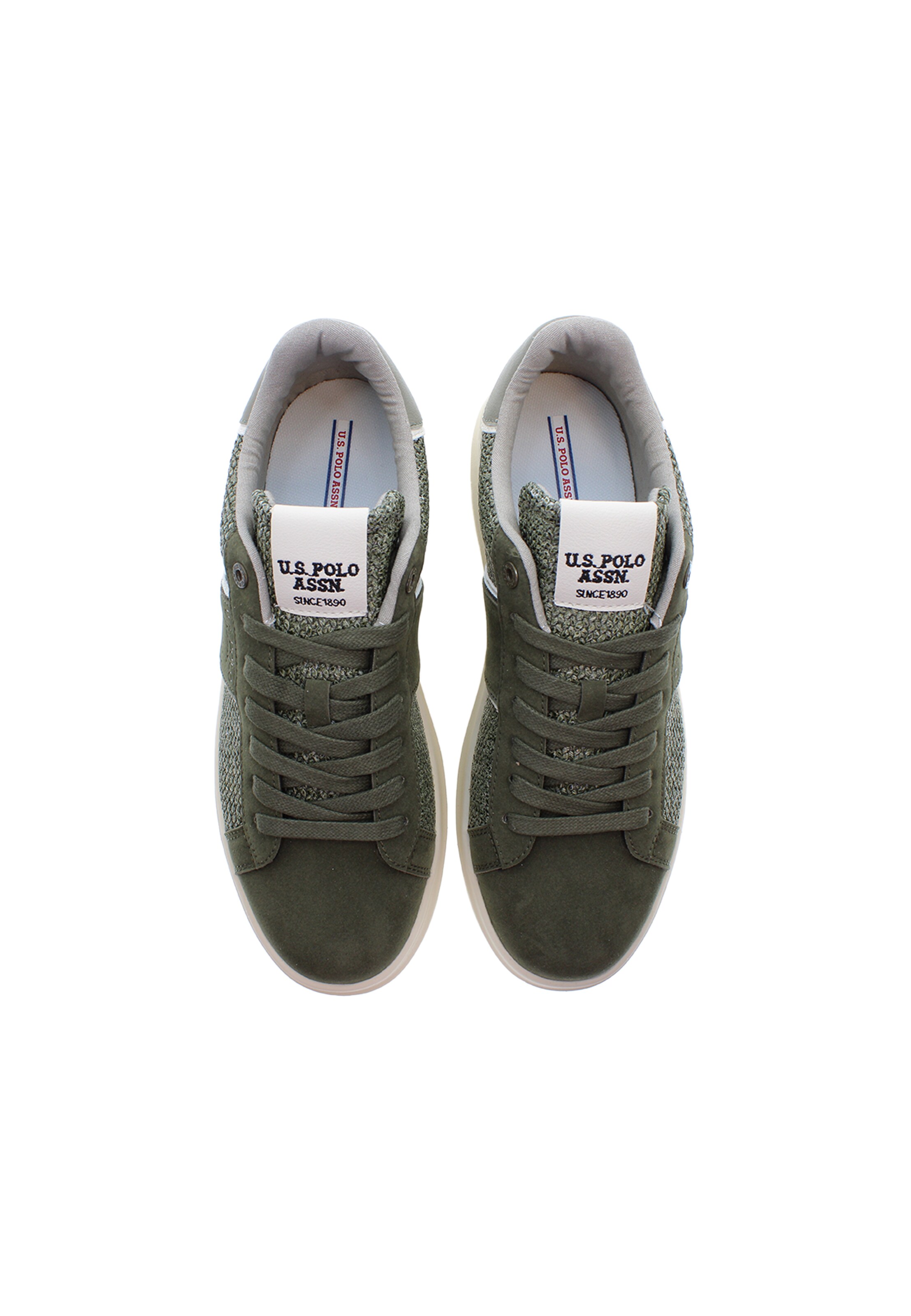 Sneaker bassa 'Caius' di U.S. POLO ASSN. in verde