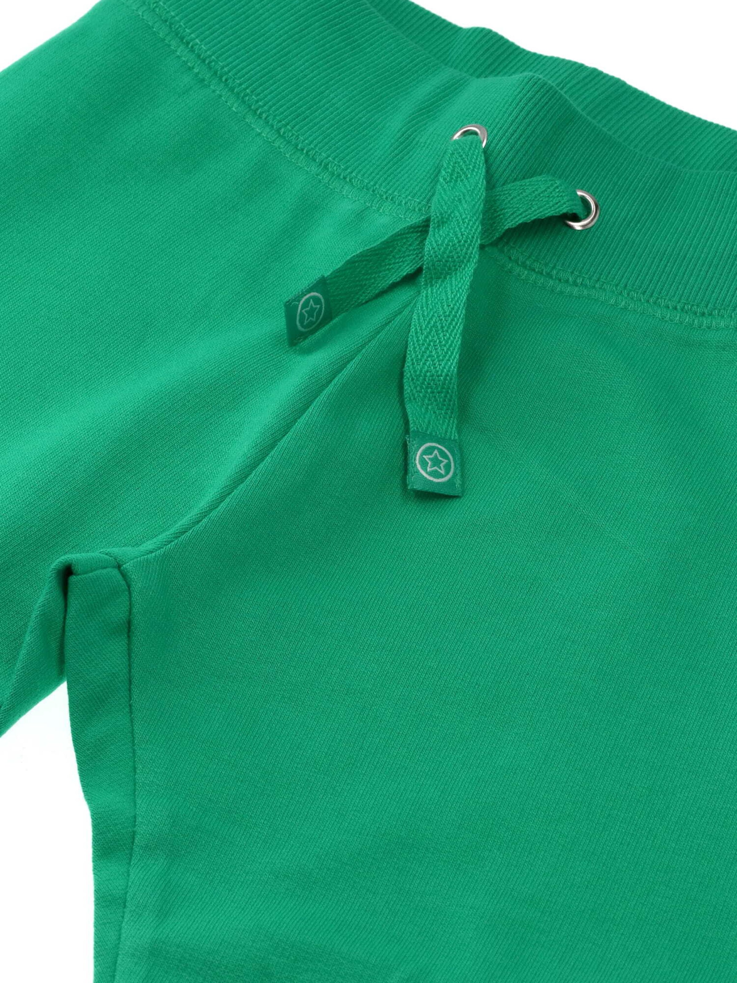 Villervalla Regular Pants in Green