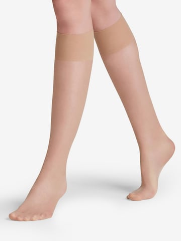FALKE Knee High Socks 'Seidenglatt' in Beige: front