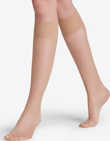 FALKE Knee High Socks 'Seidenglatt' in Beige: front